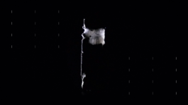 PAT KING / ART DIRECTION, DESIGN, BRANDING © 2025