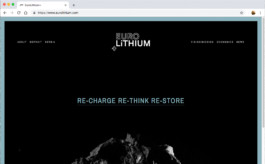 PAT KING / ART DIRECTION, DESIGN, BRANDING © 2025