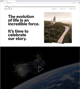 PAT KING / ART DIRECTION, DESIGN, BRANDING © 2025