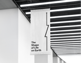 PAT KING / ART DIRECTION, DESIGN, BRANDING © 2025