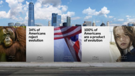 PAT KING / ART DIRECTION, DESIGN, BRANDING © 2025