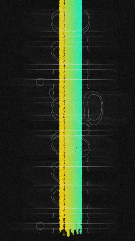 PAT KING / ART DIRECTION, DESIGN, BRANDING © 2025