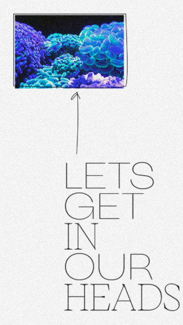 PAT KING / ART DIRECTION, DESIGN, BRANDING © 2025