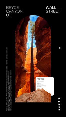 PAT KING / ART DIRECTION, DESIGN, BRANDING © 2025