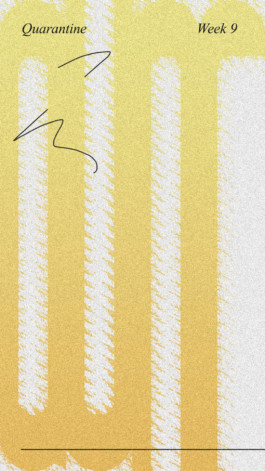 PAT KING / ART DIRECTION, DESIGN, BRANDING © 2025