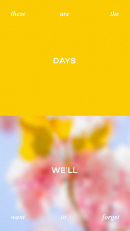 PAT KING / ART DIRECTION, DESIGN, BRANDING © 2025