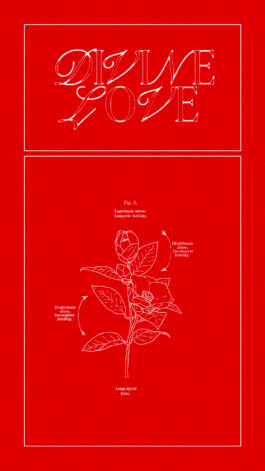 PAT KING / ART DIRECTION, DESIGN, BRANDING © 2025