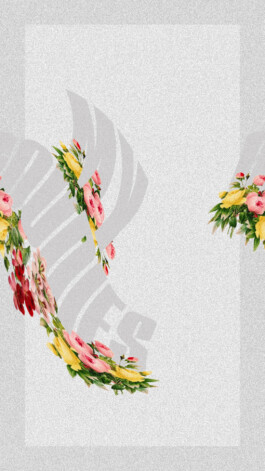 PAT KING / ART DIRECTION, DESIGN, BRANDING © 2025