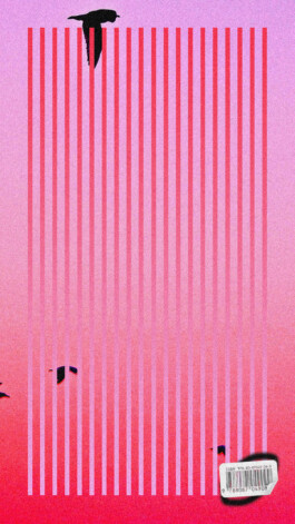 PAT KING / ART DIRECTION, DESIGN, BRANDING © 2025