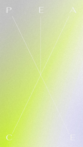 PAT KING / ART DIRECTION, DESIGN, BRANDING © 2025