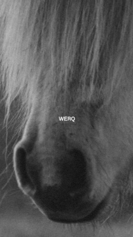 PAT KING / ART DIRECTION, DESIGN, BRANDING © 2025