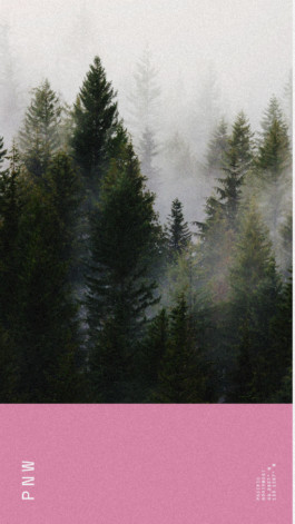 PAT KING / ART DIRECTION, DESIGN, BRANDING © 2025