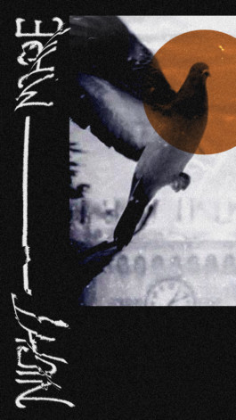 PAT KING / ART DIRECTION, DESIGN, BRANDING © 2025