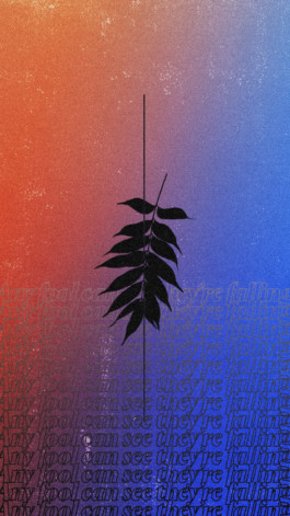 PAT KING / ART DIRECTION, DESIGN, BRANDING © 2025