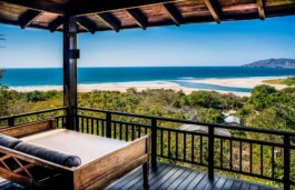 PAT KING / ART DIRECTION, DESIGN, BRANDING &copy; 2025