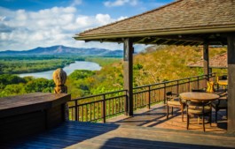 PAT KING / ART DIRECTION, DESIGN, BRANDING &copy; 2025