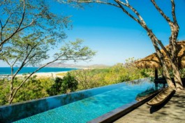 PAT KING / ART DIRECTION, DESIGN, BRANDING &copy; 2025