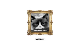 PAT KING / ART DIRECTION, DESIGN, BRANDING © 2025