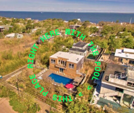 PAT KING / ART DIRECTION, DESIGN, BRANDING &copy; 2025