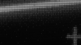 PAT KING / ART DIRECTION, DESIGN, BRANDING © 2025