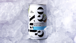 PAT KING / ART DIRECTION, DESIGN, BRANDING © 2025